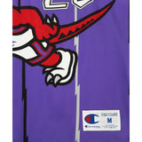 Damon Stoudamire Toronto Raptors Jersey