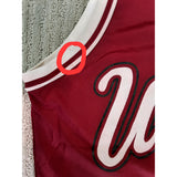 Marcus Camby Umass Jersey