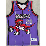 Damon Stoudamire Toronto Raptors Jersey