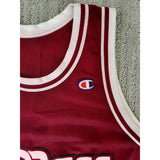 Marcus Camby Umass Jersey