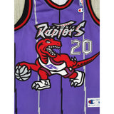 Damon Stoudamire Toronto Raptors Jersey