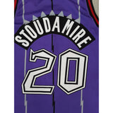 Damon Stoudamire Toronto Raptors Jersey
